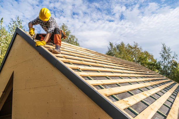 Best Roof Maintenance Services  in Springdale, AR