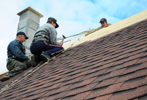 Quick and Trustworthy Emergency Roof Repair Services in Springdale, AR